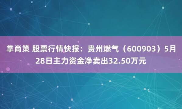 掌尚策 股票行情快报：贵州燃气（600903）5月28日主力资金净卖出32.50万元