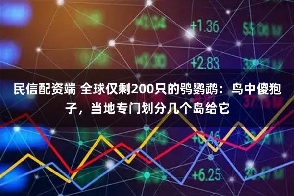 民信配资端 全球仅剩200只的鸮鹦鹉：鸟中傻狍子，当地专门划分几个岛给它