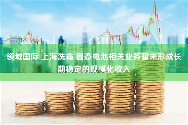 领域国际 上海洗霸 固态电池相关业务暂未形成长期稳定的规模化收入